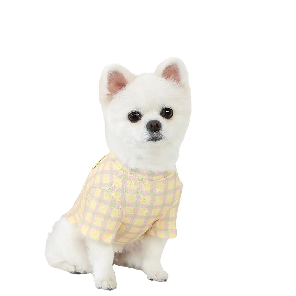 R logo Dogs Clothes Checked patterned Casual Cute Comfortable Clothing Sweaters Korean Designers Apparel Outfits Pastel Colours 