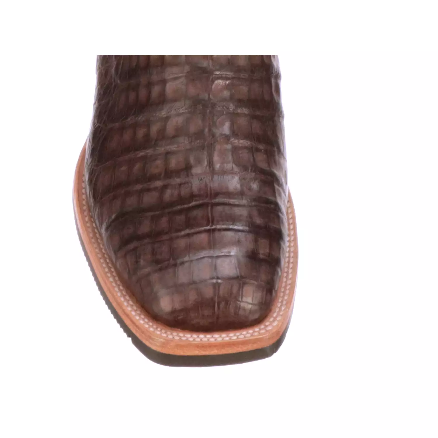 Rowdy Caiman :: Chocolate